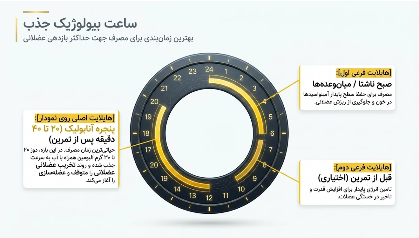 بهترین زمان مصرف پودر سفیده تخم مرغ