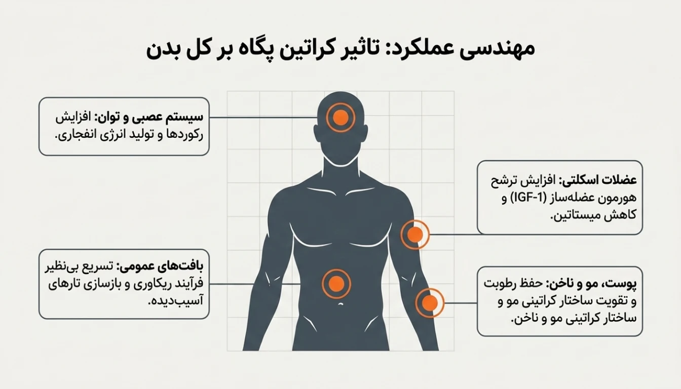 مهم ترین فواید مصرف کراتین اولترا پاور پگاه