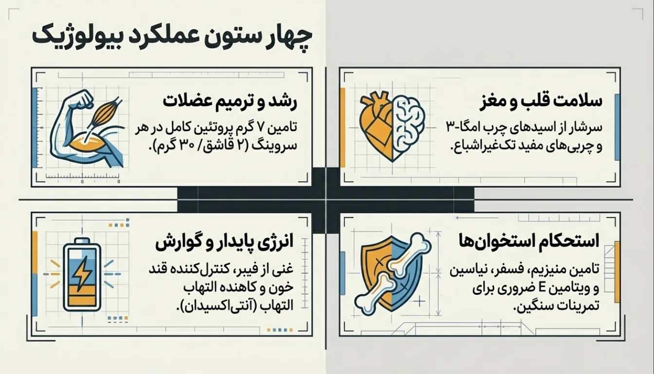 کره بادام زمینی چه فوایدی دارد؟
