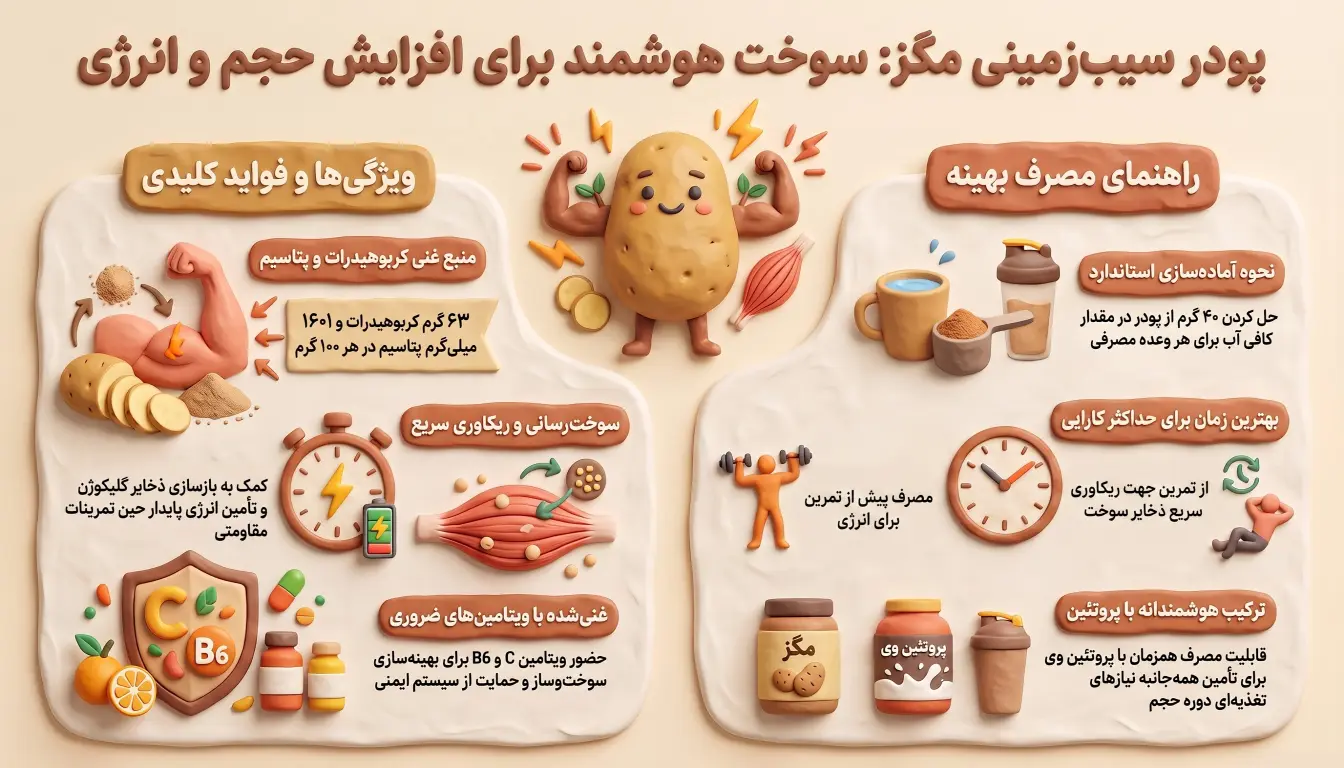فواید پودر سیب زمینی مگز برای بدنسازی-راهنمای مصرف پودر سیب زمینی مگز-خرید پودر سیب زمینی مگز-پارسی پودر